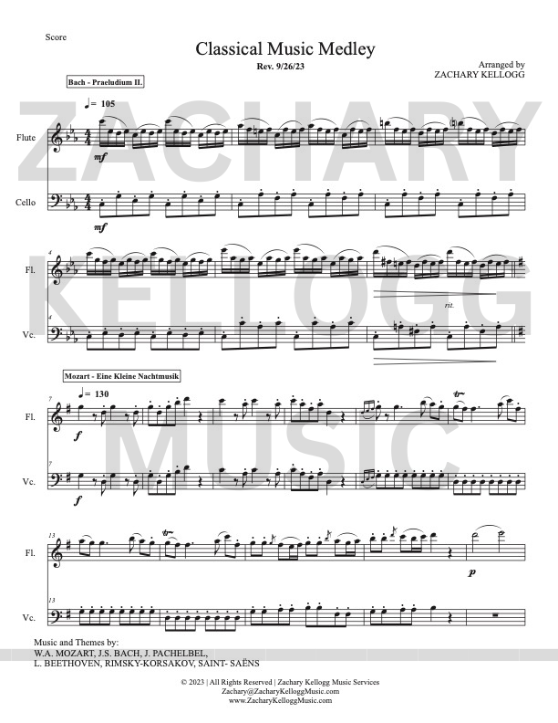 Store 2 — Zachary Kellogg Music